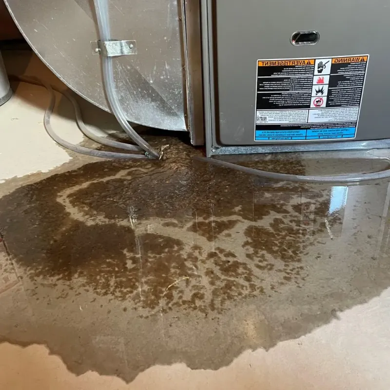 Pipe Burst and Leak Restoration in Lawrenceville, GA